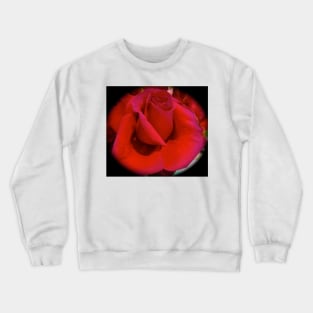 Red Rose Crewneck Sweatshirt